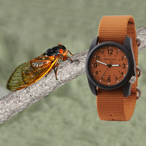 #11118 DX3® Field™ - Cicada Orange™ Dial, Cicada Orange™ Nylon Band